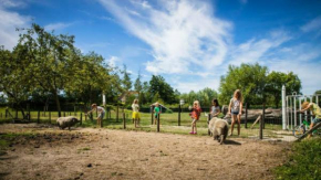 Holidayhome - Kon Emmaweg 26 - Vrouwenpolder - Uitspanning Oranjezon